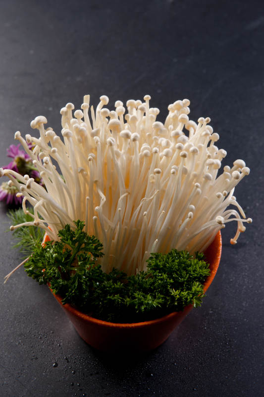 火锅食材青豆苗