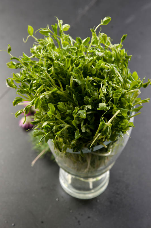 火鍋涮品手撕包菜