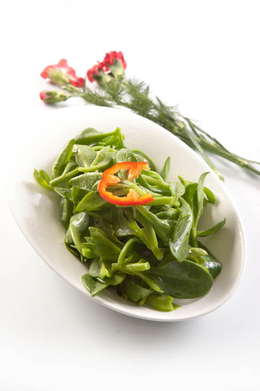 麻酱凉拌穿心莲