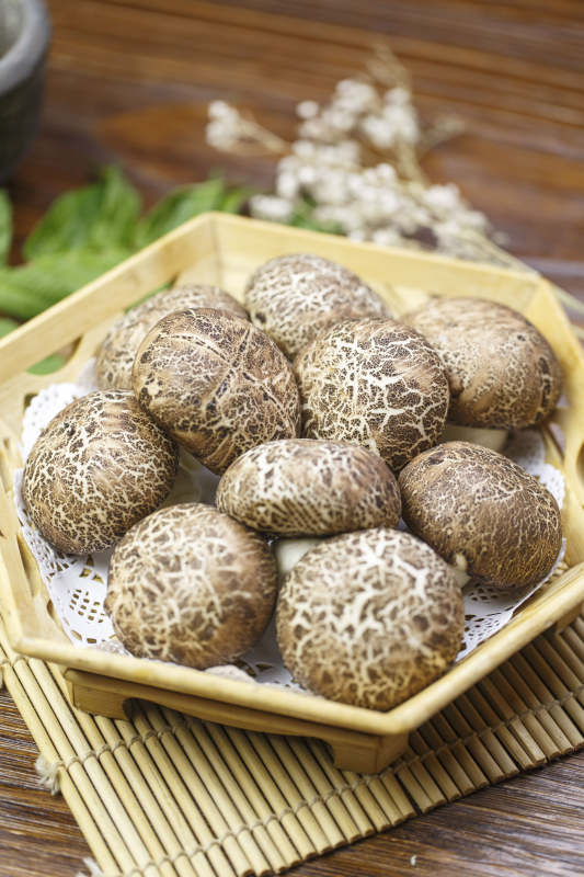 仿真雜糧香菇包