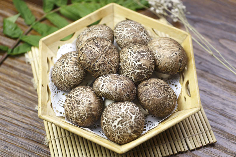 仿真雜糧香菇包