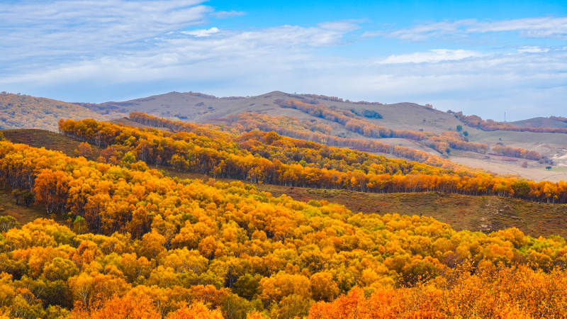 美林谷秋山金林