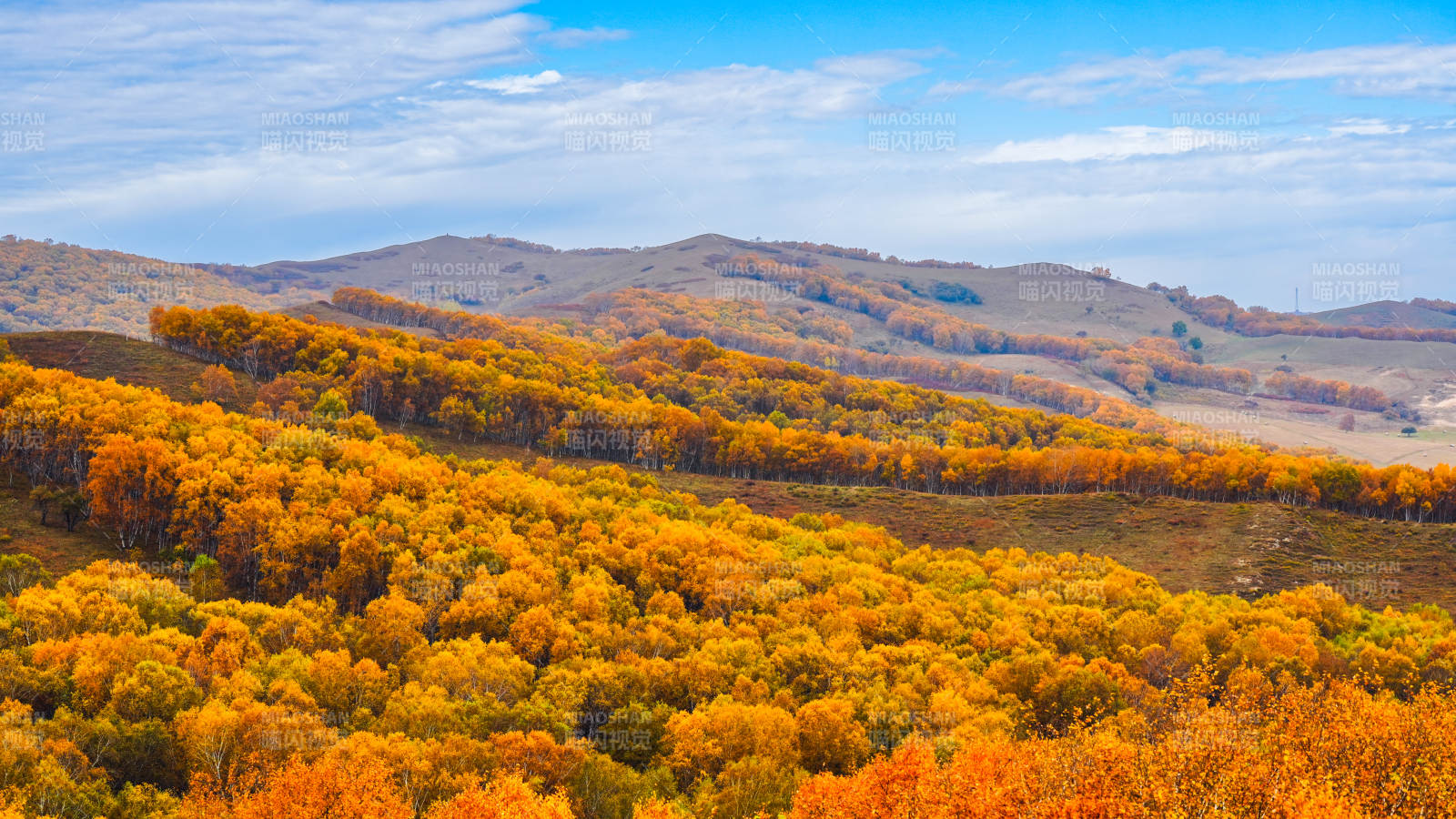 美林谷秋山金林