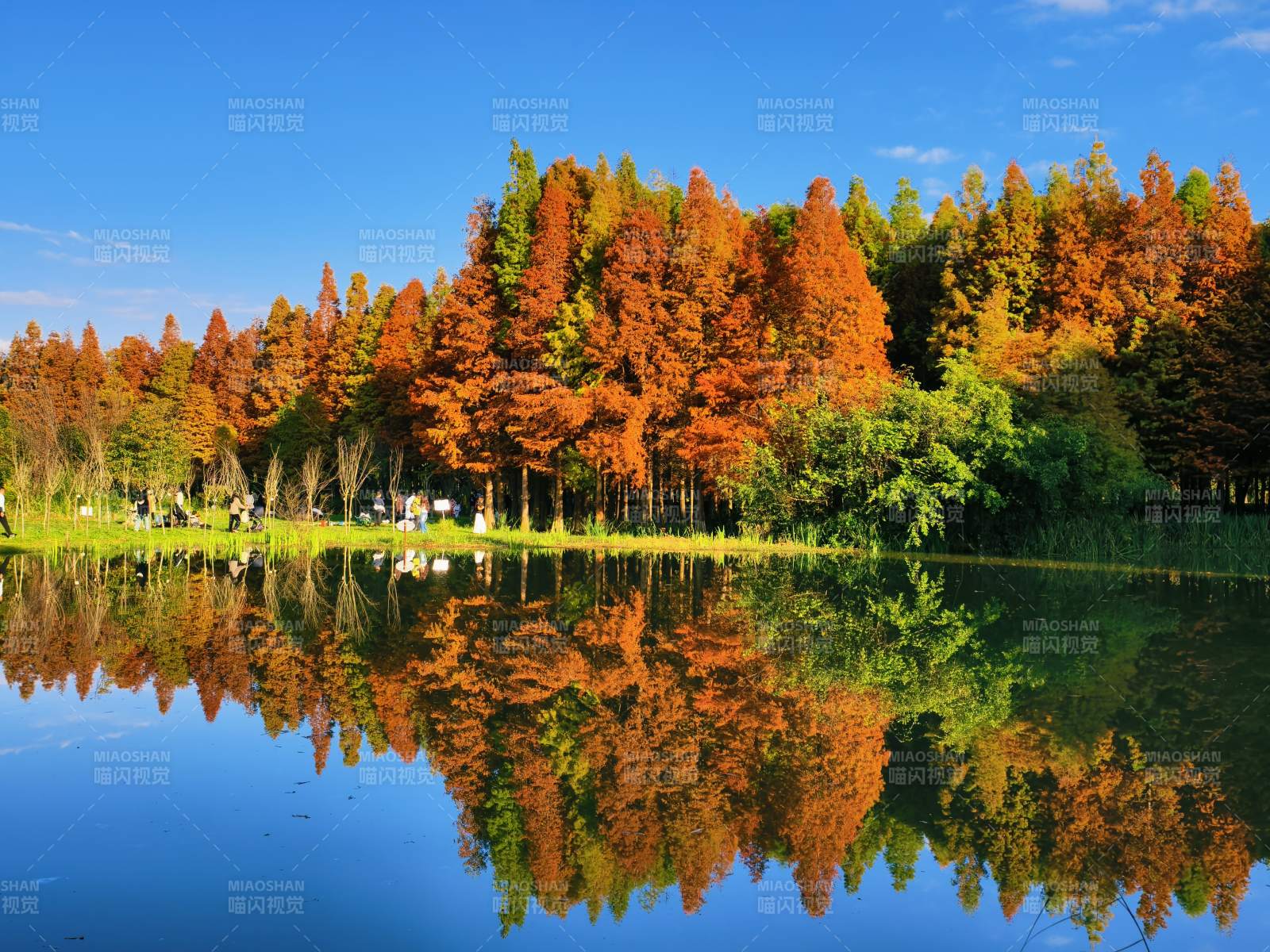 秋林倒影湖光