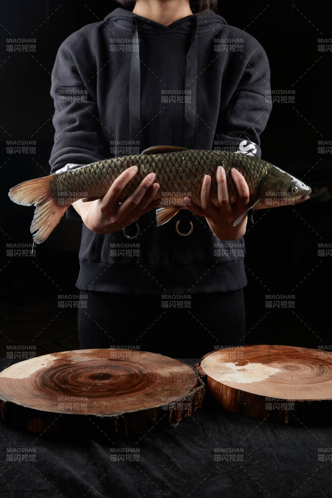 黑色背景被双手捧着的野生大鲤鱼