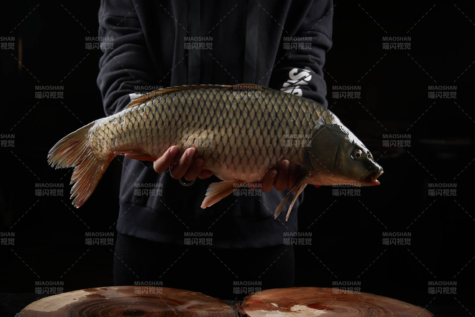 黑色背景被双手捧着的野生大鲤鱼