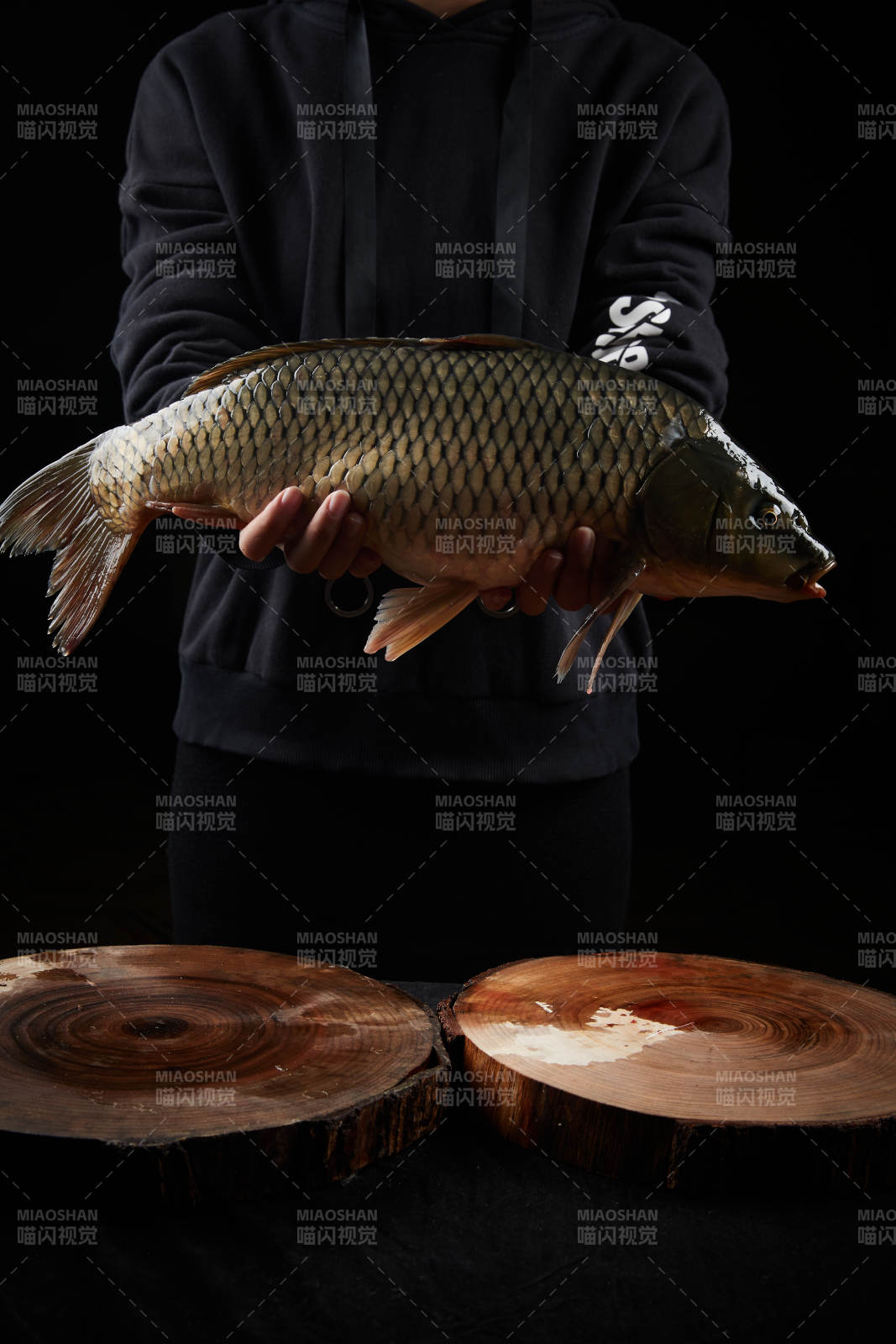 黑色背景被双手捧着的野生大鲤鱼