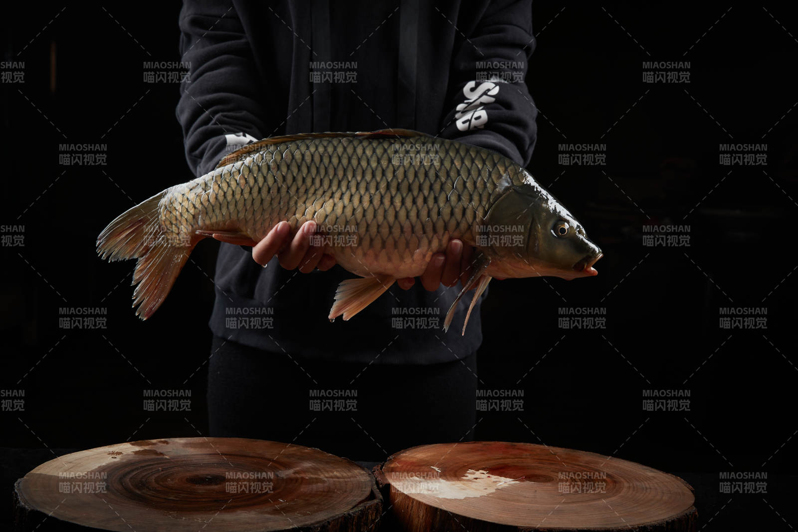 黑色背景被双手捧着的野生大鲤鱼