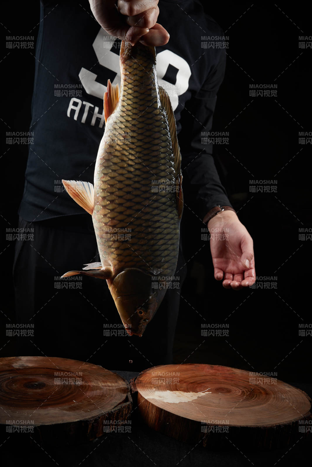 黑色背景被双手捧着的野生大鲤鱼