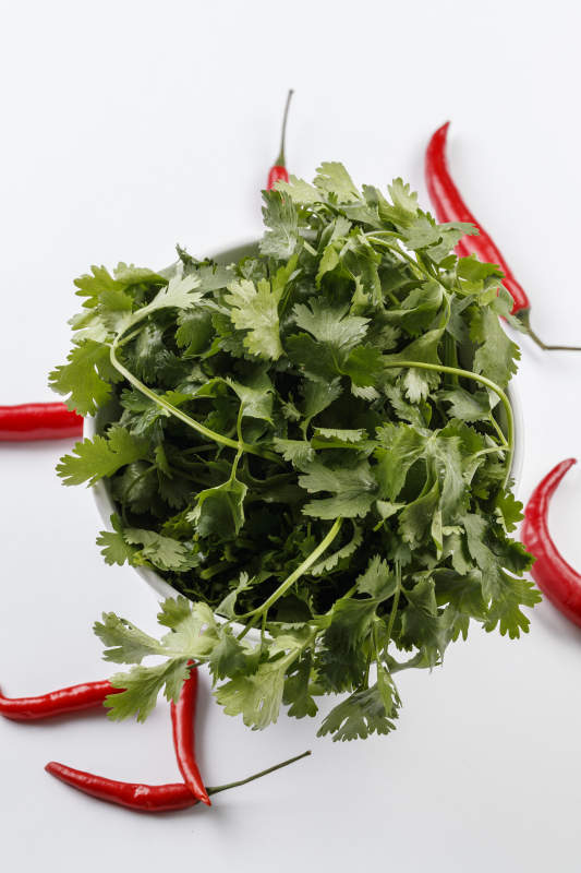 白色背景上的圆瓷桶装的香菜-摄影图