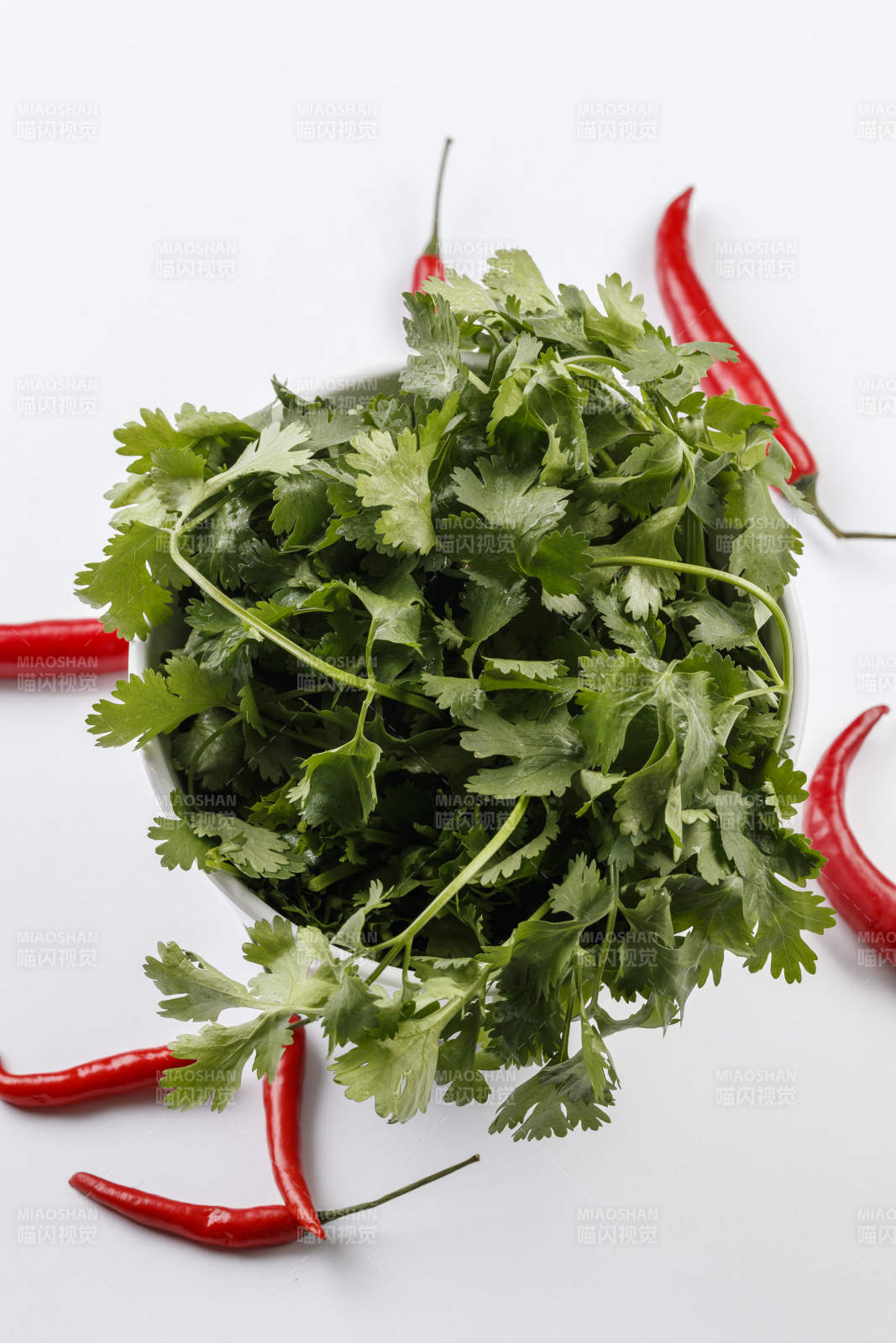 白色背景上的圆瓷桶装的香菜图片