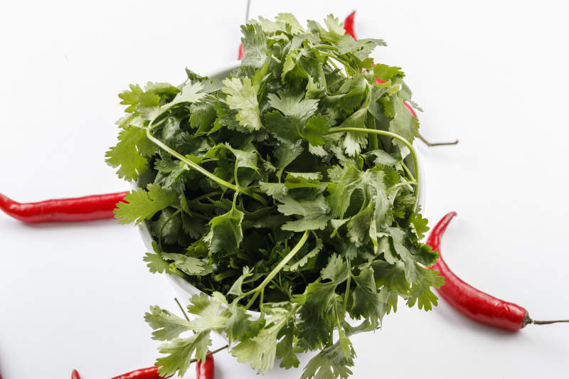 白色背景上的圆瓷桶装的香菜-摄影图