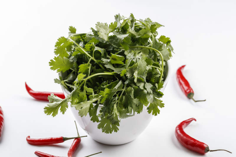 白色背景上的圆瓷桶装的香菜-摄影图