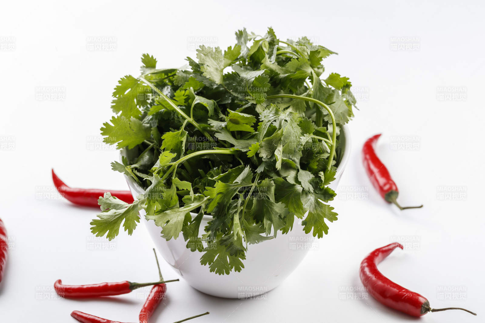 白色背景上的圆瓷桶装的香菜图片