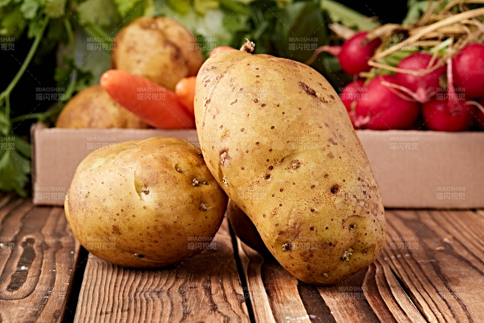 新鲜张家口坝上马铃薯