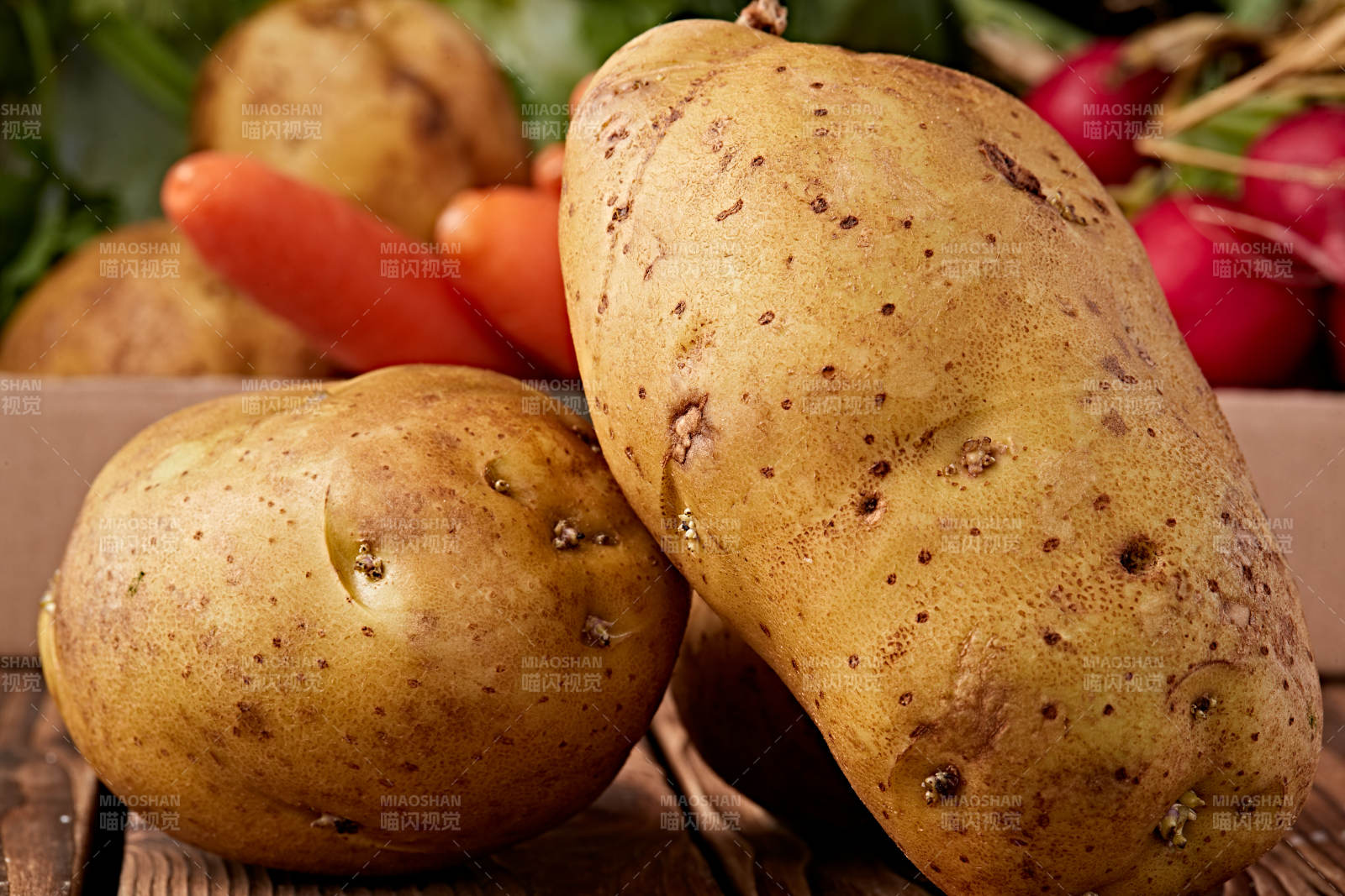 新鲜张家口坝上马铃薯