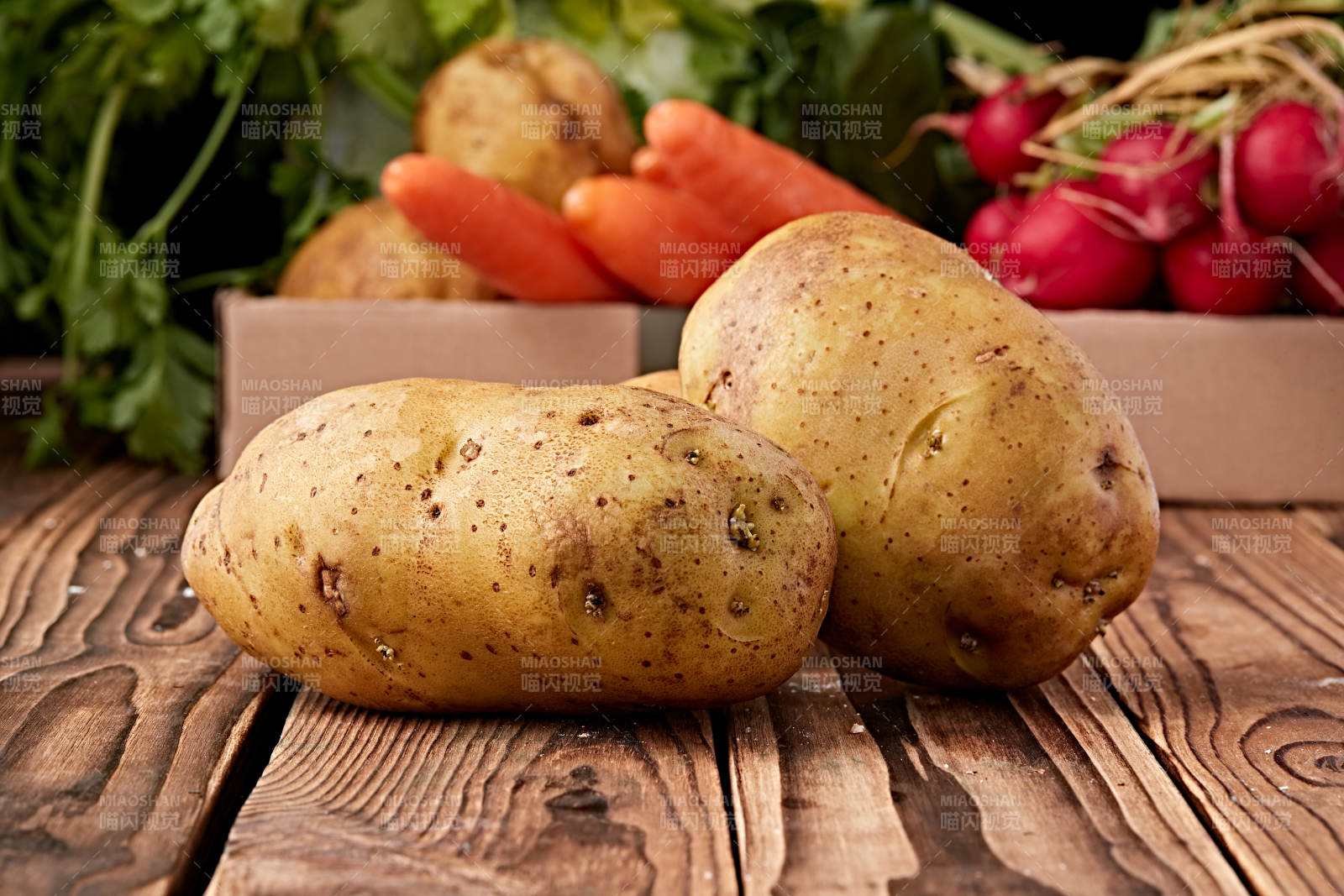 新鲜张家口坝上马铃薯