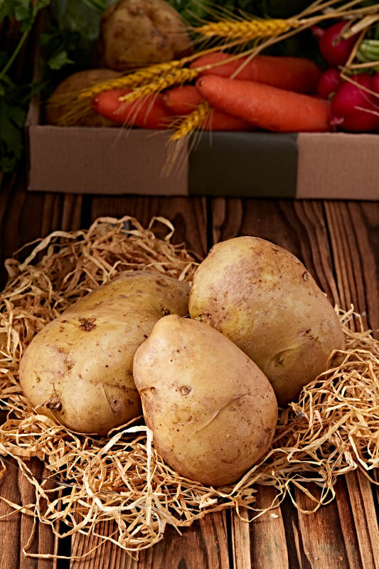 新鲜张家口坝上马铃薯