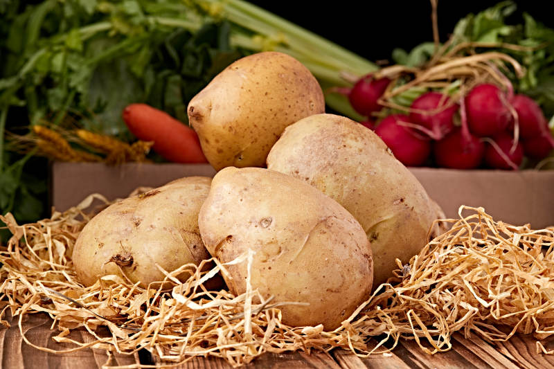 新鲜张家口坝上马铃薯