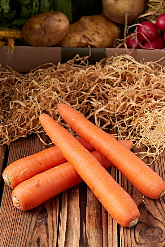 新鲜采摘有机蔬菜胡萝卜