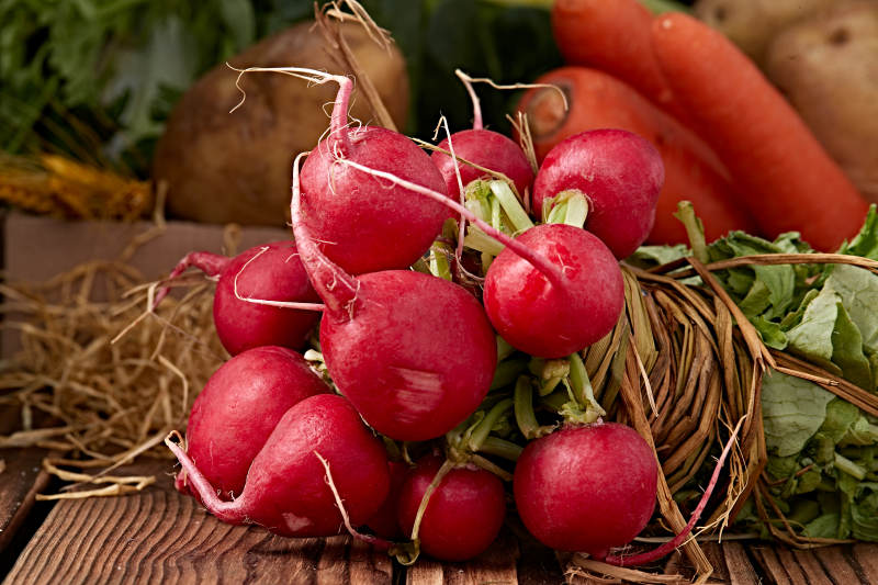 新鲜采摘有机蔬菜樱桃水萝卜