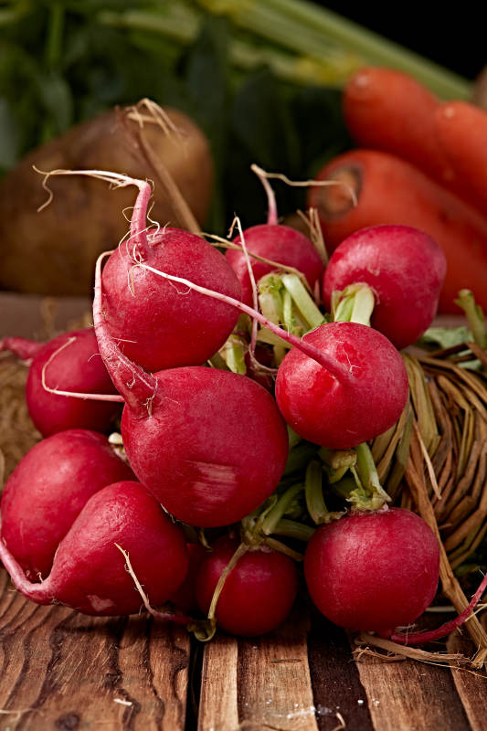 新鲜采摘有机蔬菜樱桃水萝卜