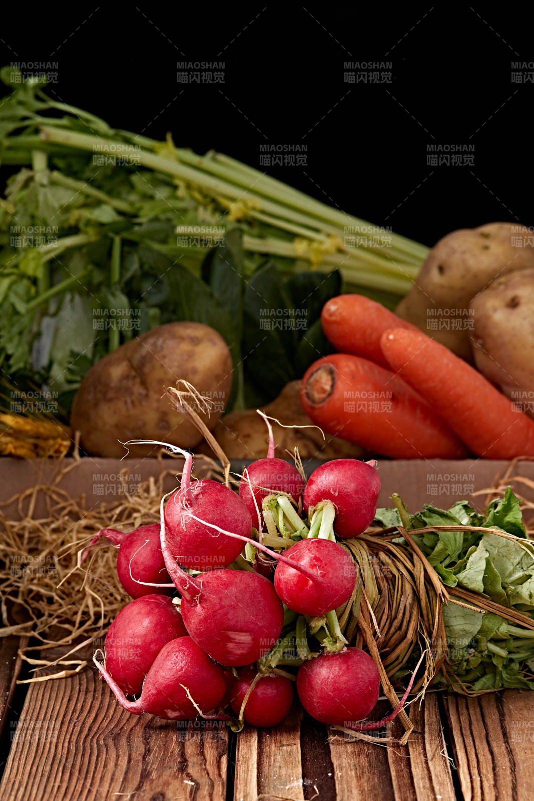 新鲜采摘有机蔬菜樱桃水萝卜