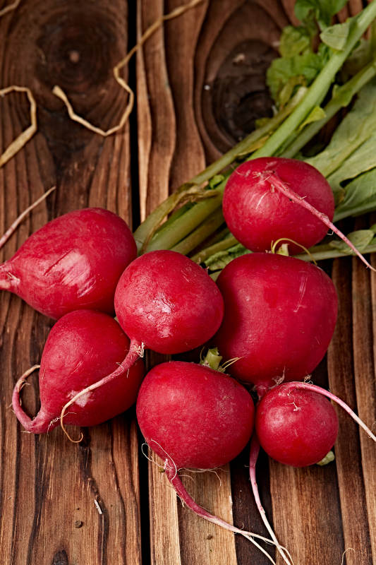 新鲜采摘有机蔬菜樱桃水萝卜