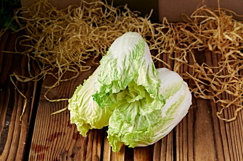 新鮮采摘有機蔬菜娃娃菜