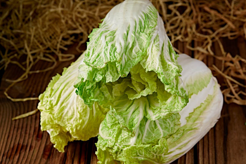 新鮮采摘有機蔬菜娃娃菜