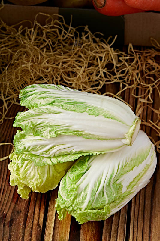 新鮮采摘有機蔬菜娃娃菜