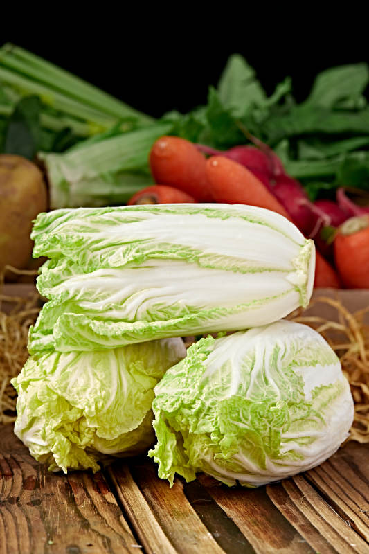 新鮮采摘有機蔬菜娃娃菜