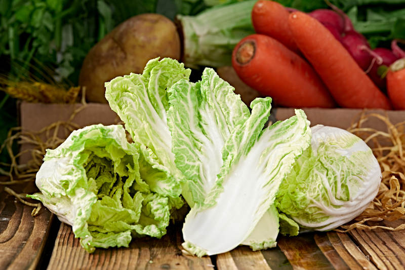 新鮮采摘有機蔬菜娃娃菜