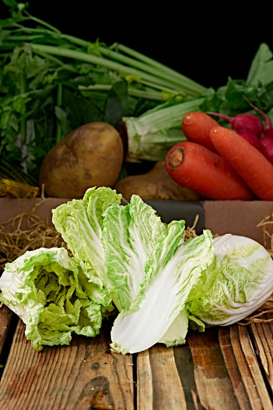 新鮮采摘有機蔬菜娃娃菜