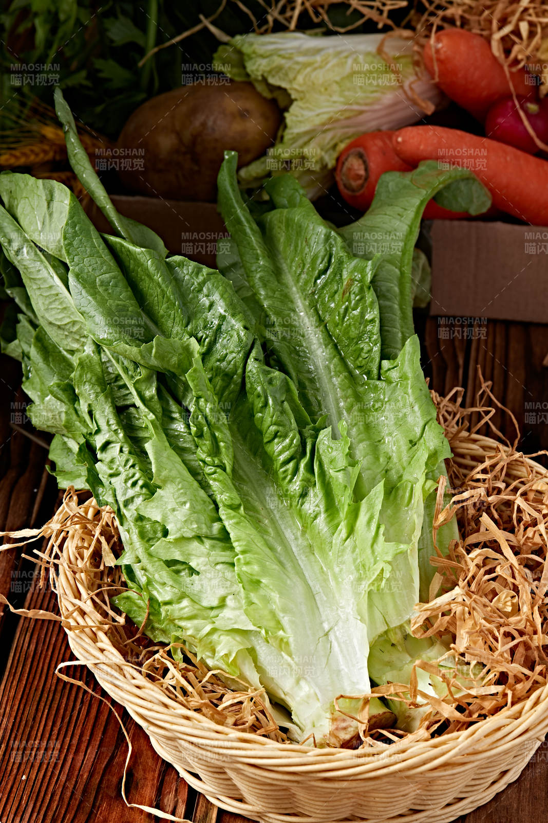 新鮮采摘有機(jī)蔬菜油麥菜