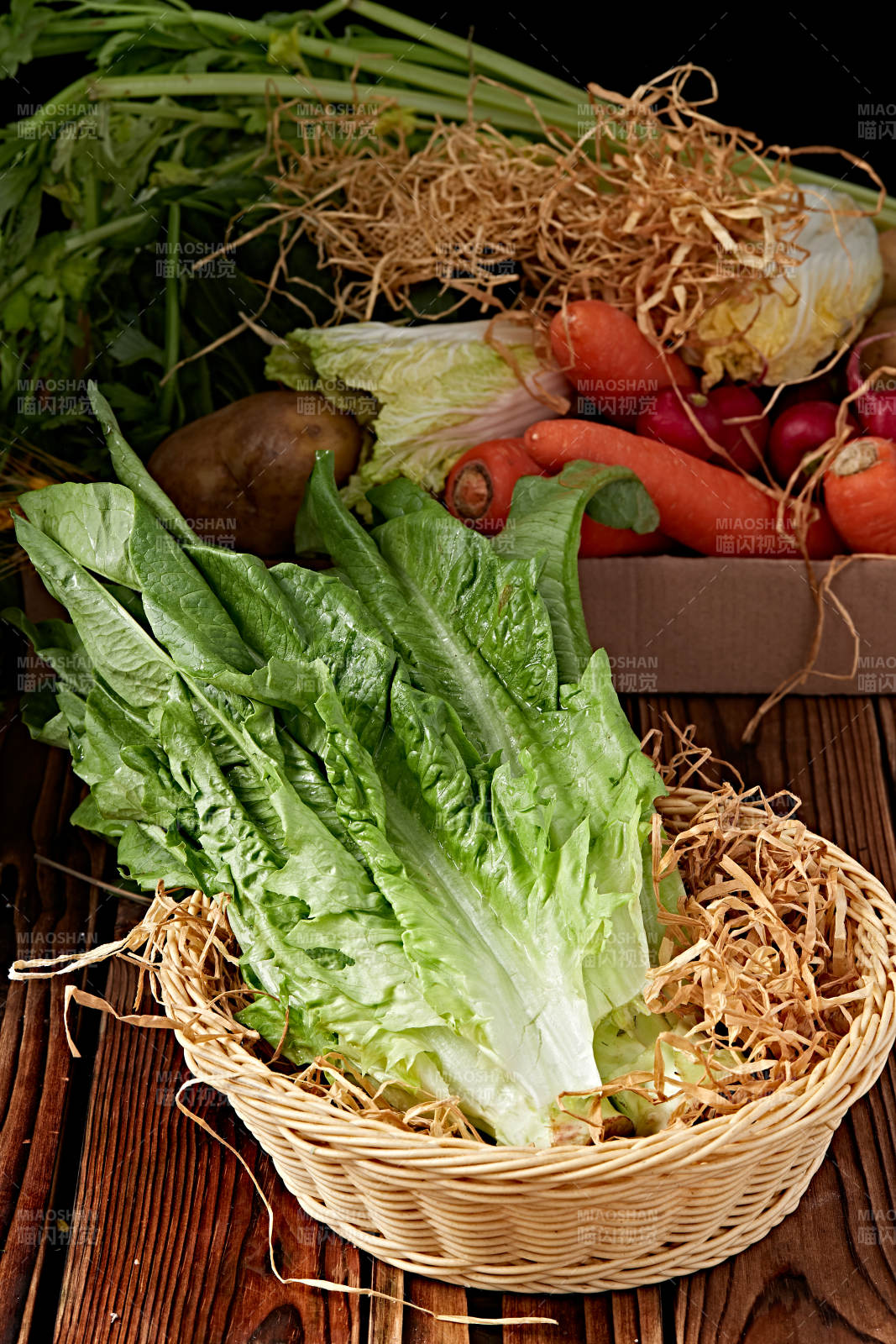 新鮮采摘有機蔬菜油麥菜