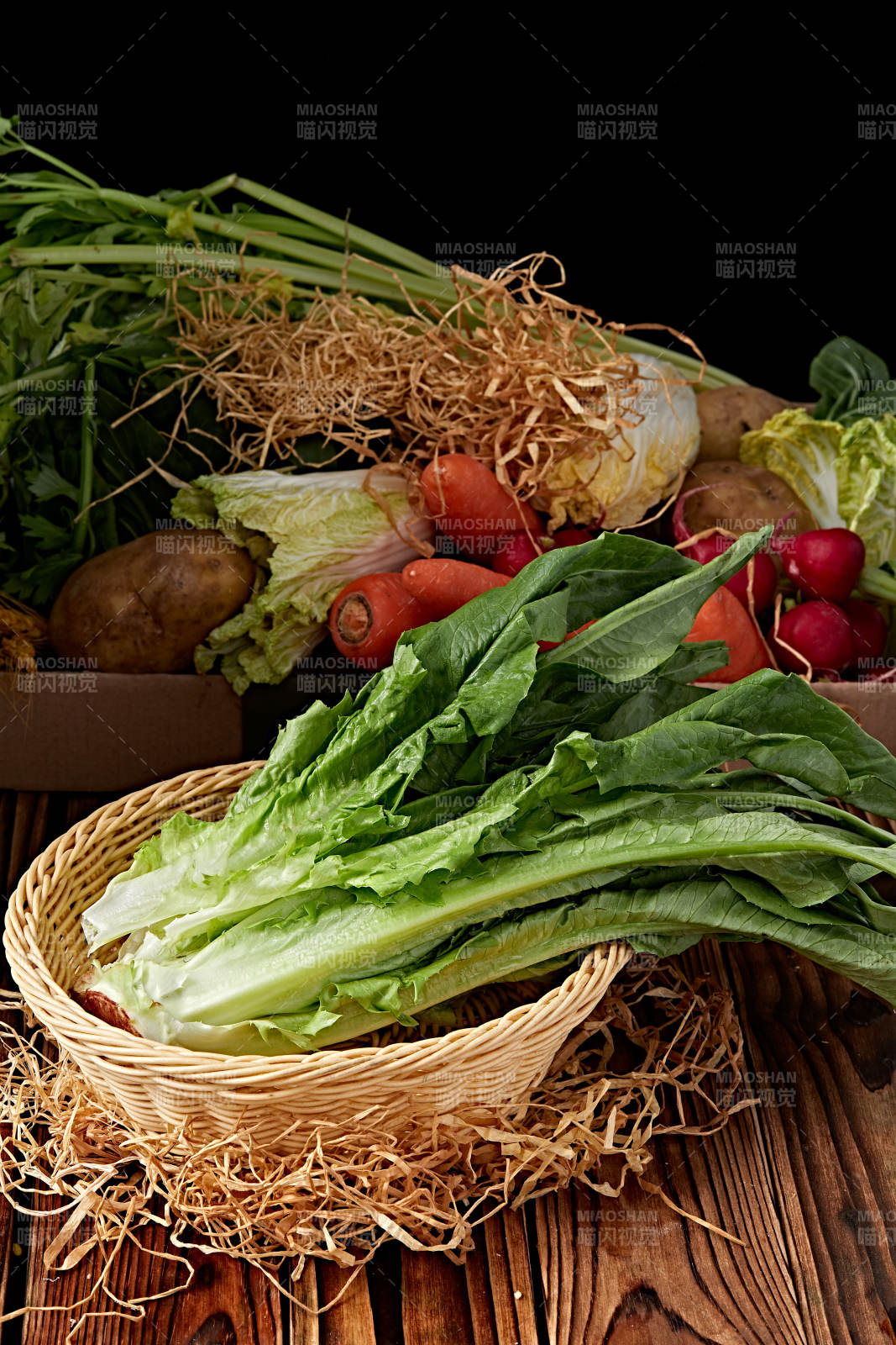 新鮮采摘有機蔬菜油麥菜