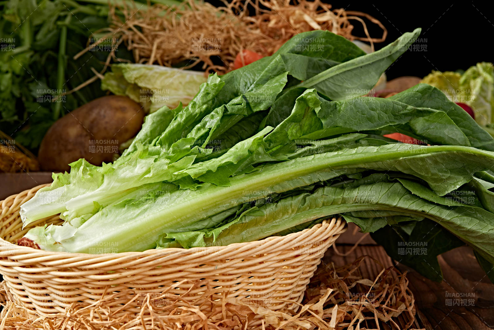 新鮮采摘有機蔬菜油麥菜