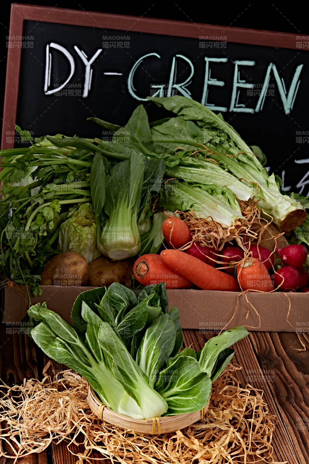 新鮮采摘有機(jī)青菜油菜