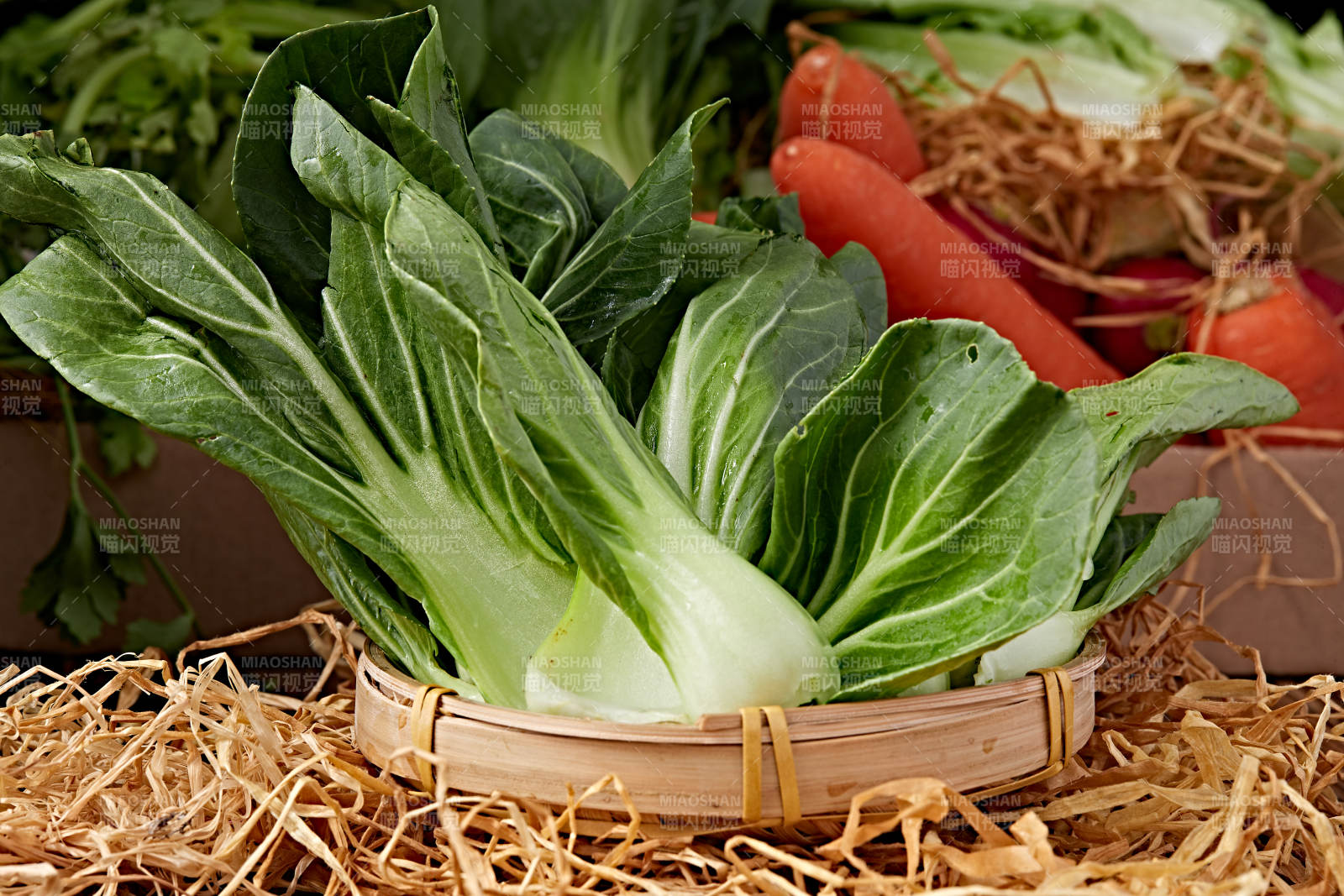 新鮮采摘有機青菜油菜