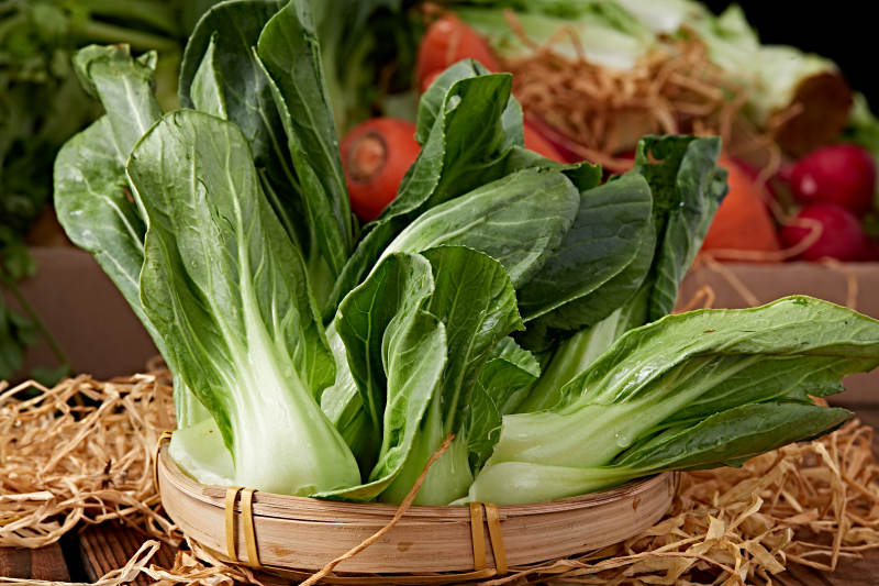 新鮮采摘有機青菜油菜