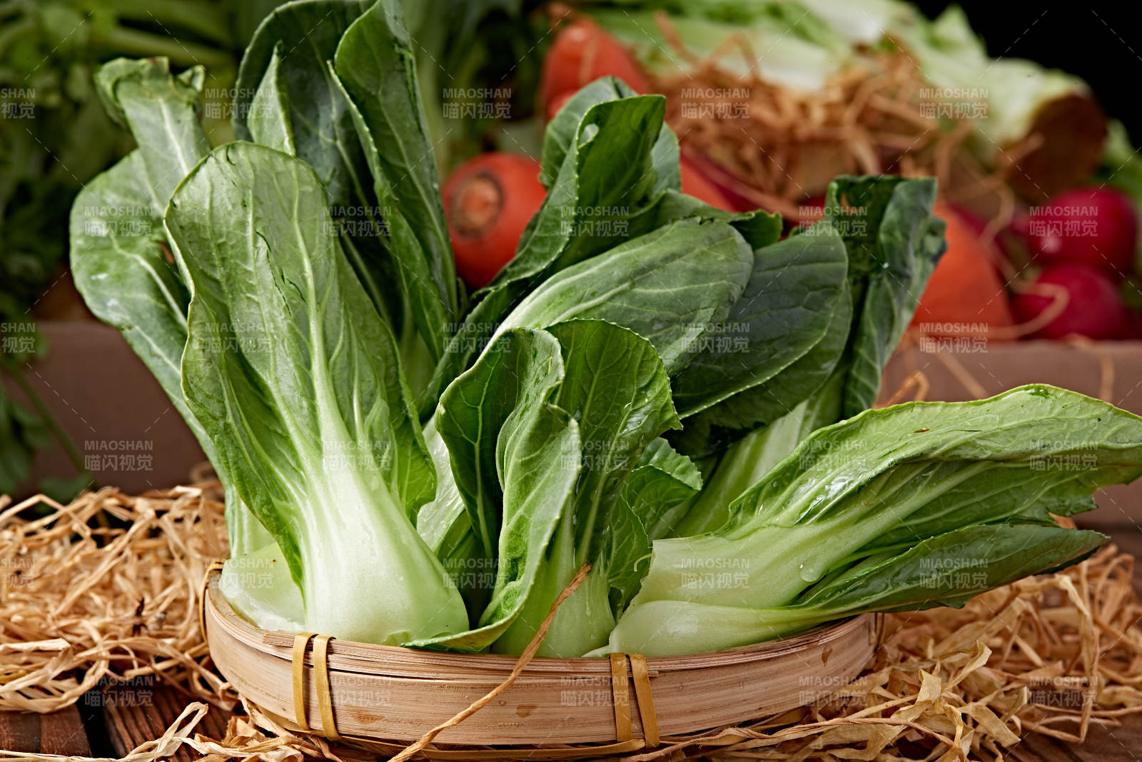 新鮮采摘有機青菜油菜