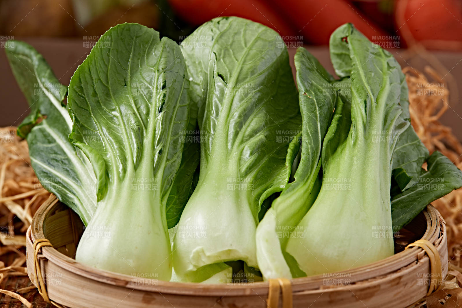 新鮮采摘有機青菜油菜