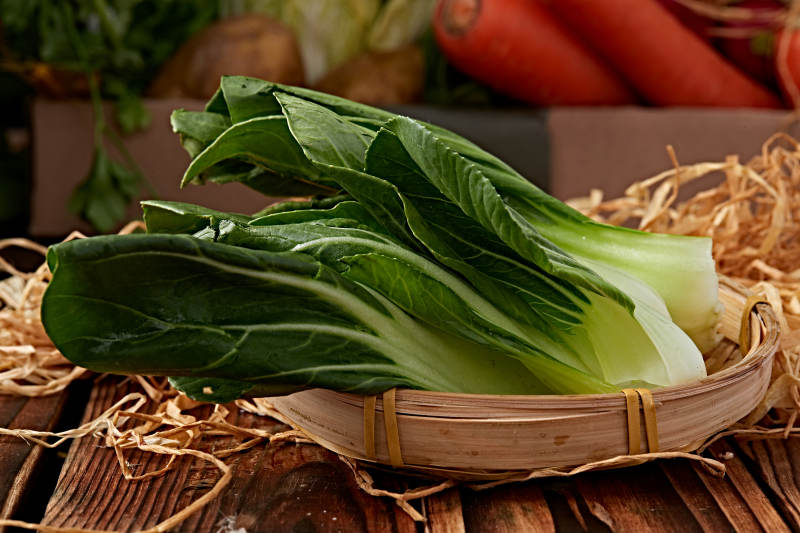 新鲜采摘有机青菜油菜