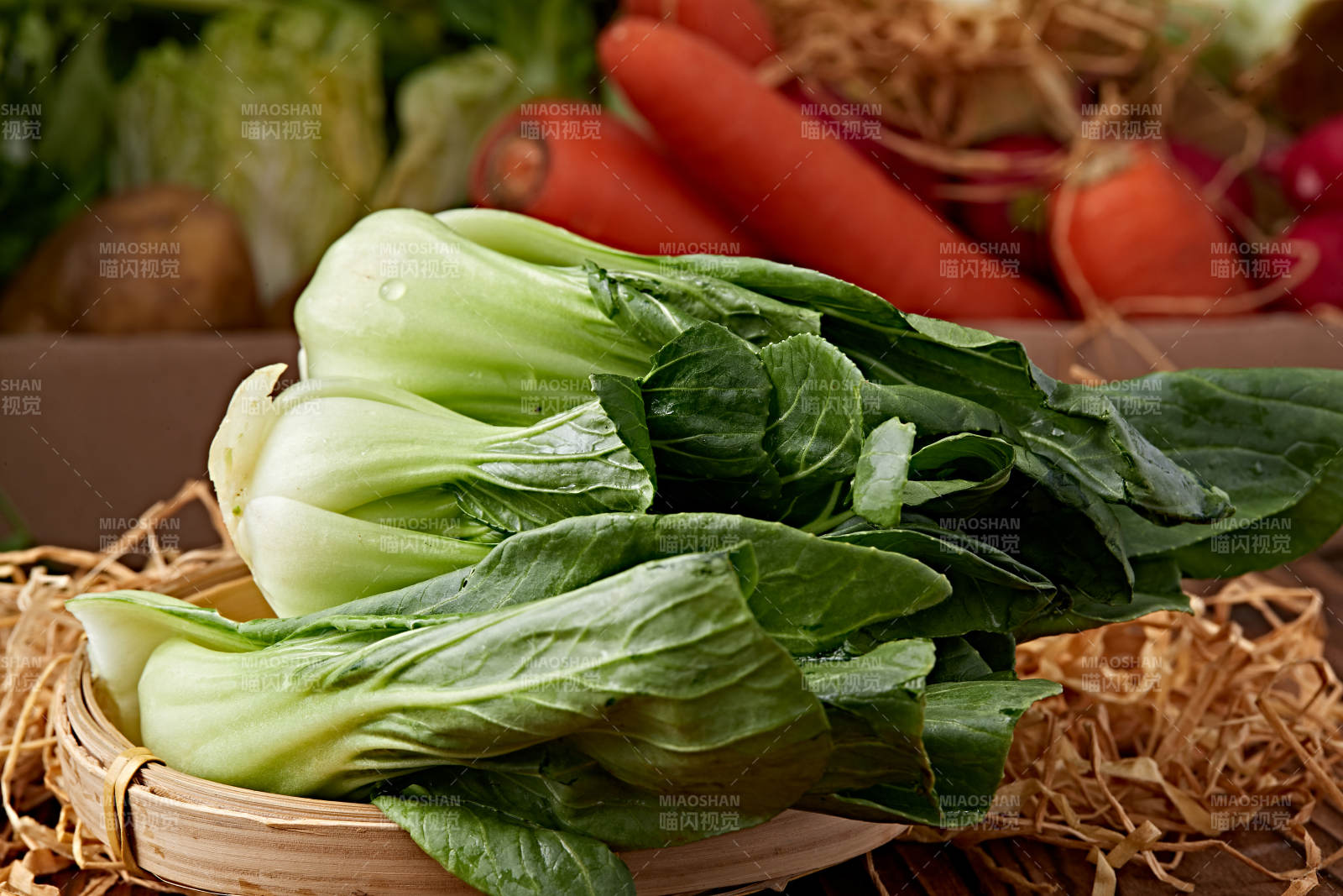 新鮮采摘有機(jī)青菜油菜