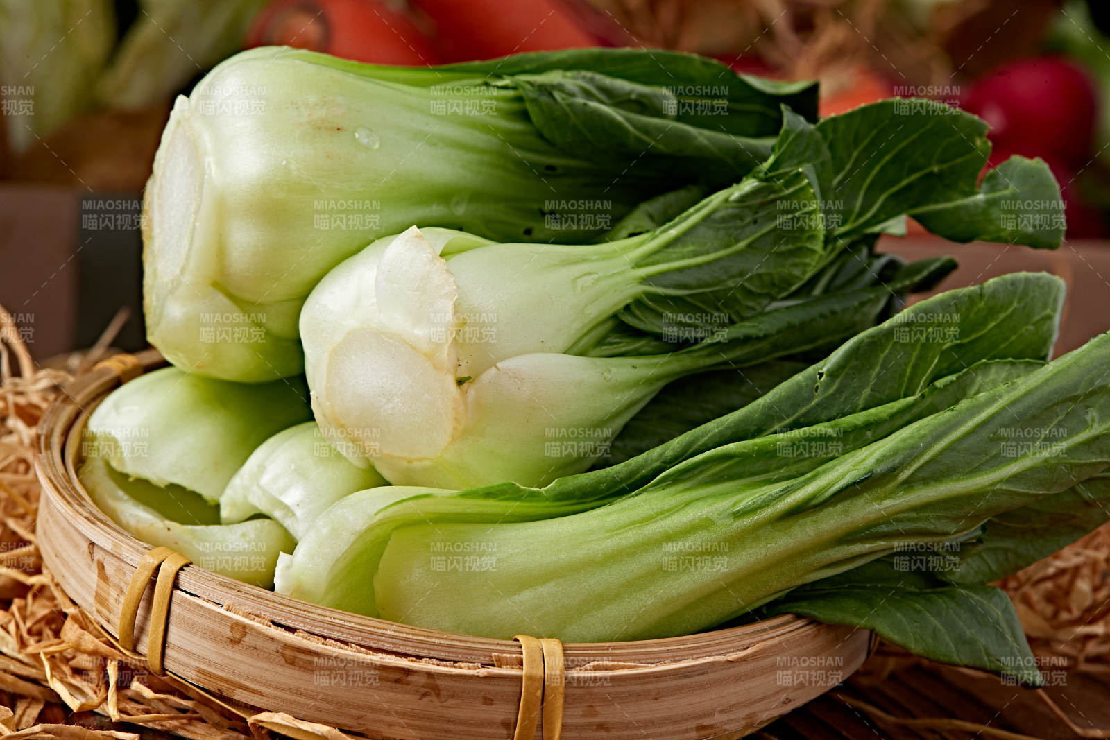 新鮮采摘有機青菜油菜