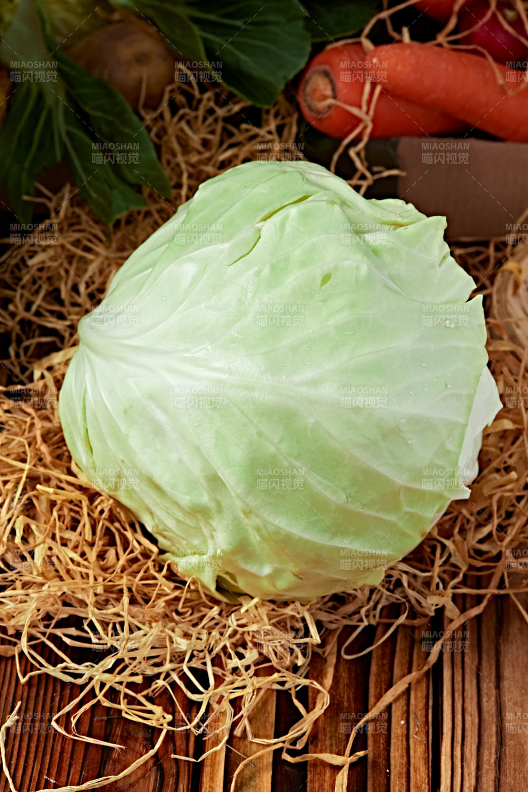 新鮮采摘有機蔬菜圓白菜