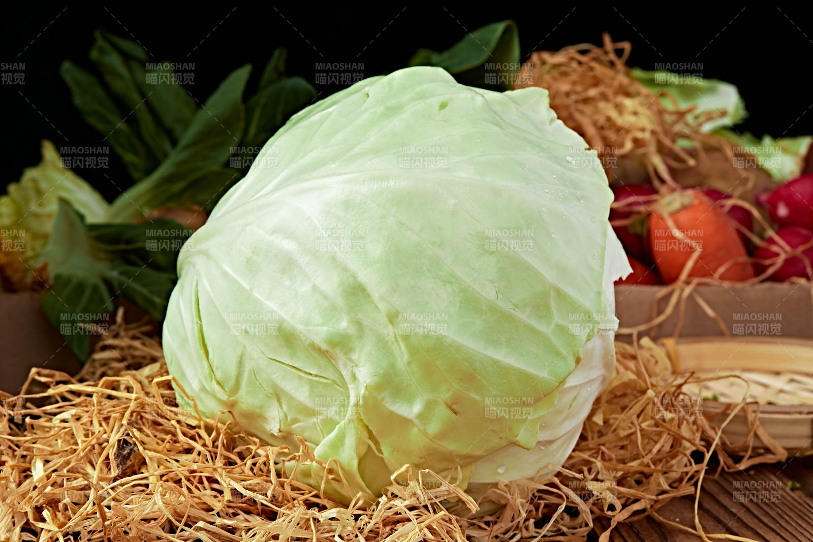 新鲜采摘有机蔬菜圆白菜