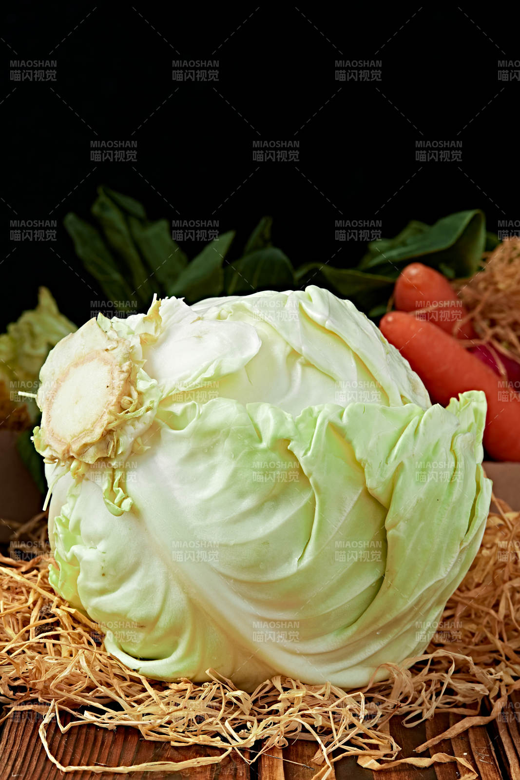新鮮采摘有機蔬菜圓白菜