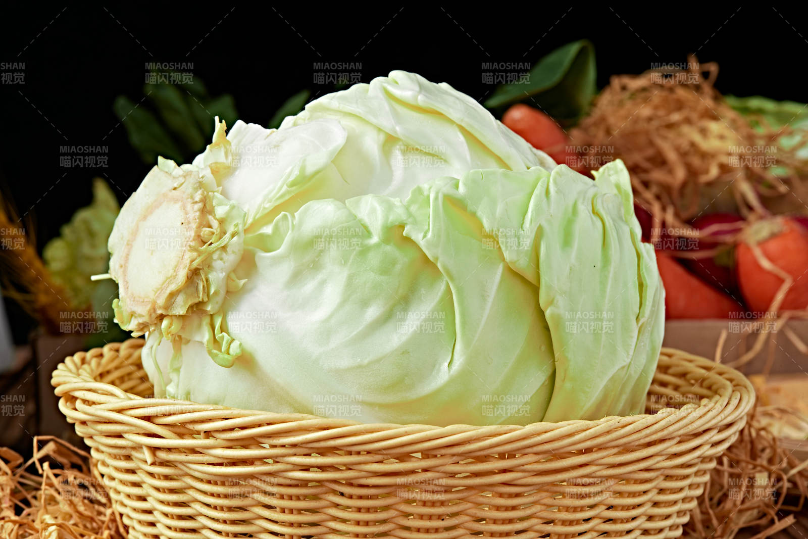 新鮮采摘有機蔬菜圓白菜